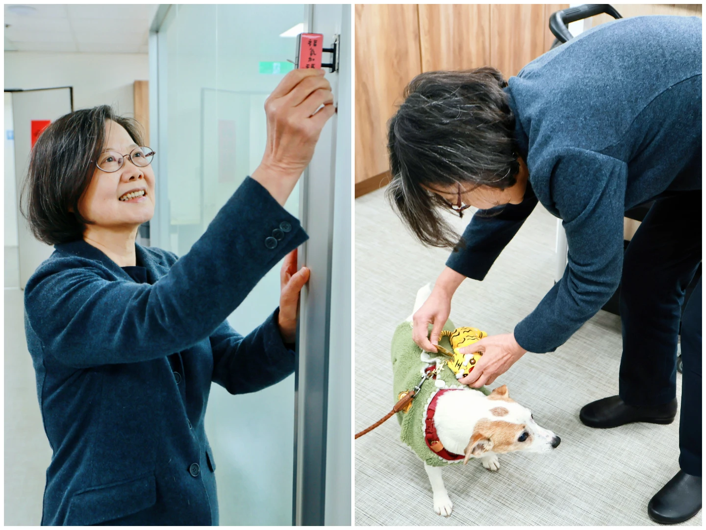 有片｜陳三歲小年夜送禮！蔡英文毛小孩被迫接受　她回贈很福氣燈箱