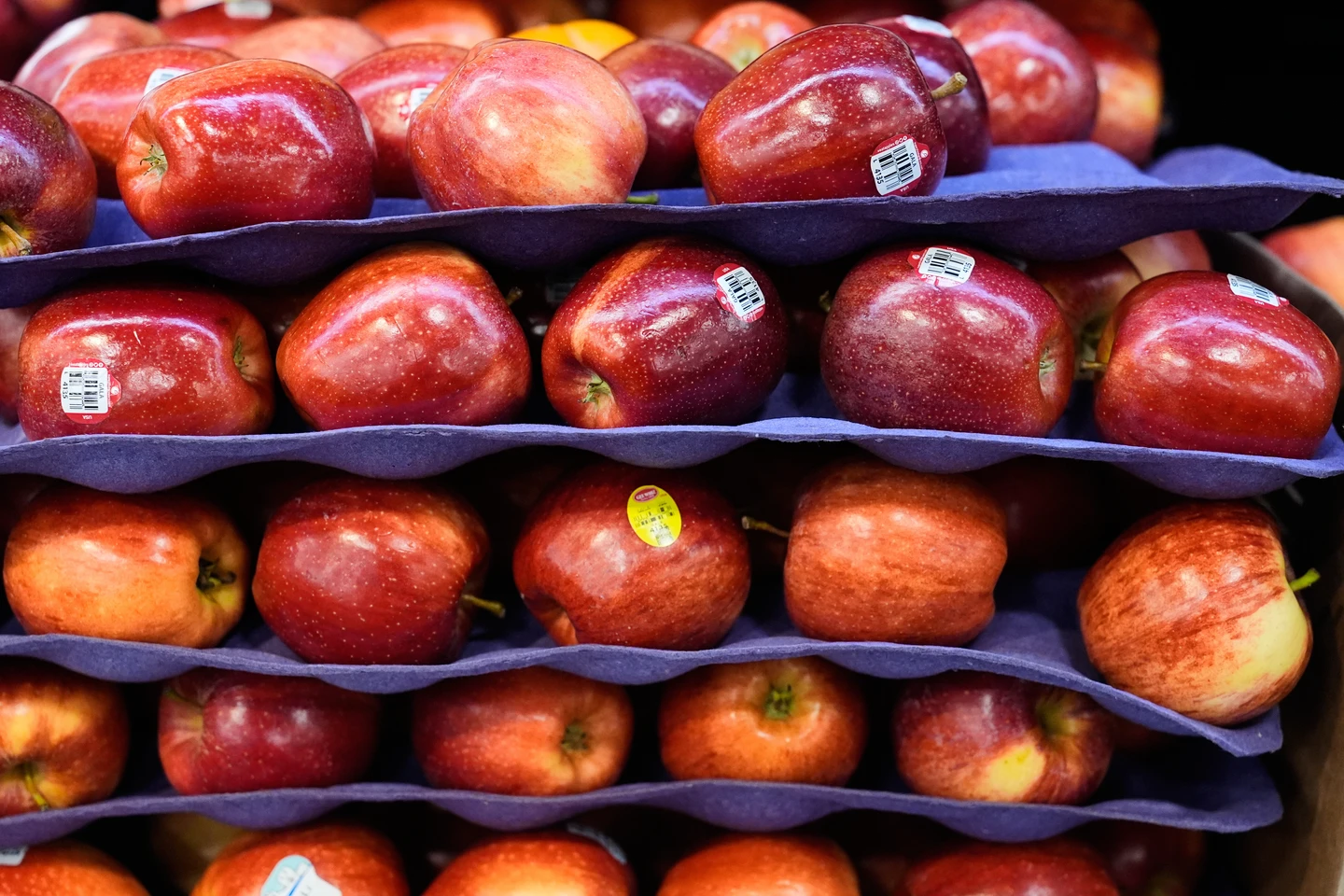 美國牛肉、蘋果、櫻桃降關稅　台灣守住稻米雞肉