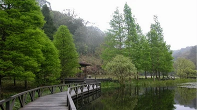 春節走春景點-1！「聯外道路崩塌」落石不斷　福山植物園延長休園至23日