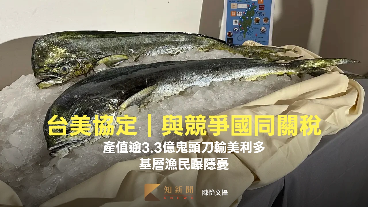 台美協定｜與競爭國同關稅！產值逾3.3億鬼頭刀輸美利多　基層漁民曝隱憂