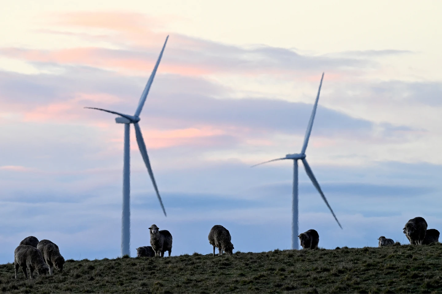 章魚能源投資澳洲再生能源4457億元　押注太陽能及儲能系統