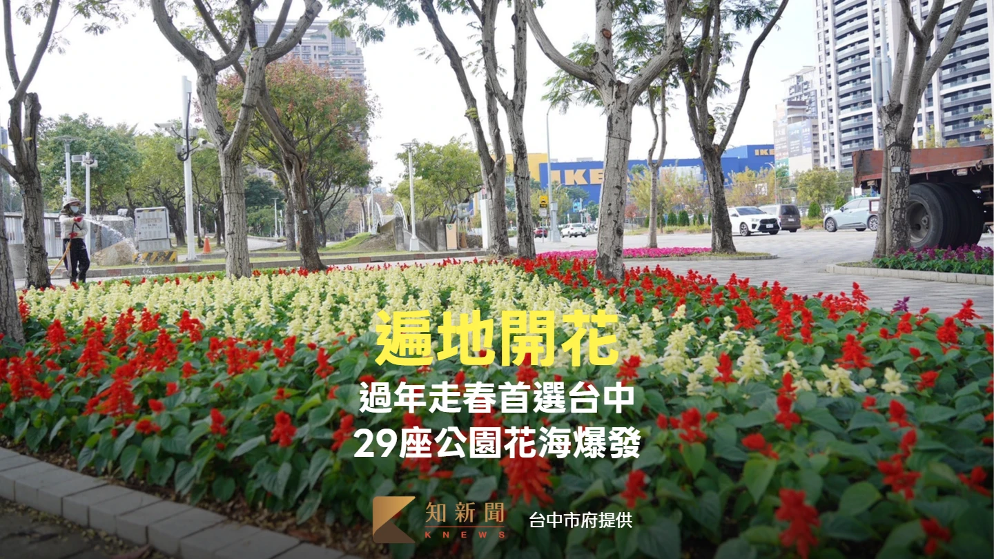 遍地開花！過年走春首選台中　29座公園花海爆發