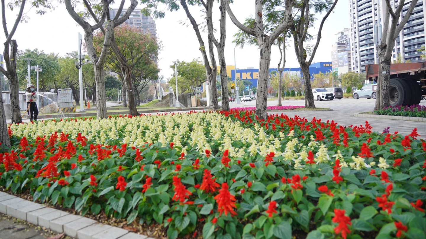 遍地開花！過年走春首選台中　29座公園花海爆發