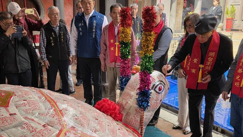 澎湖元宵乞龜開跑！萬斤米龜亮相點睛　慧洋董座：籌設「第3家航空」玩真的