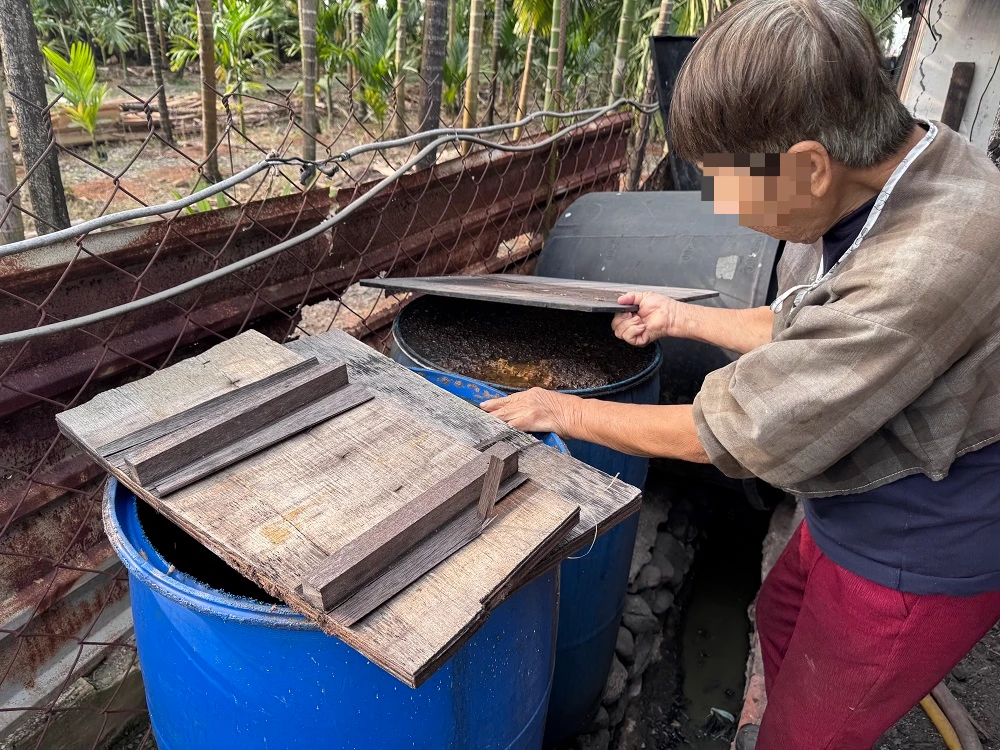 小鴨、菜葉廚餘餵豬！屏東再揪違法養豬戶　重罰40萬