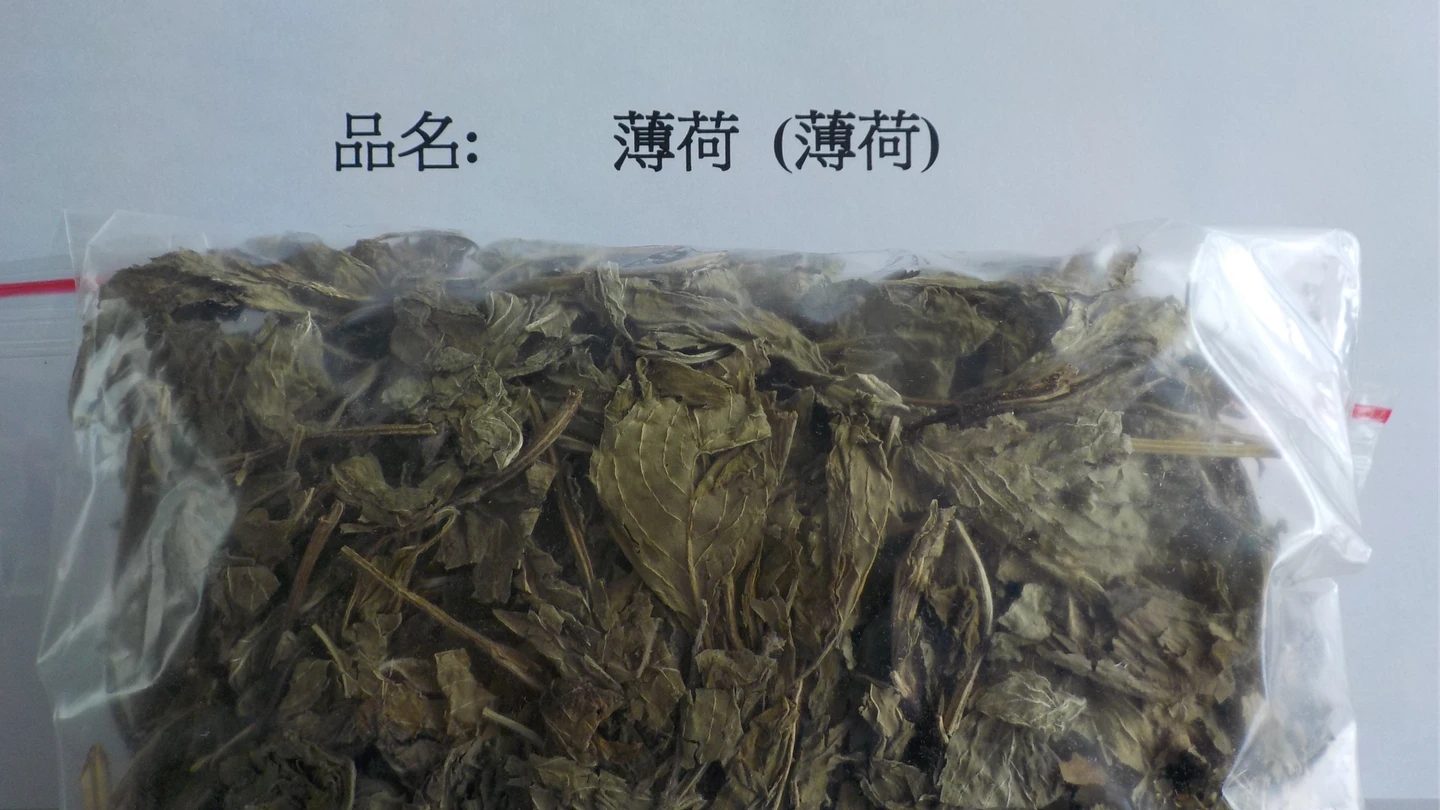 百年中藥廠莊松榮出包！進口薄荷5種農藥超標　退運近3千公斤