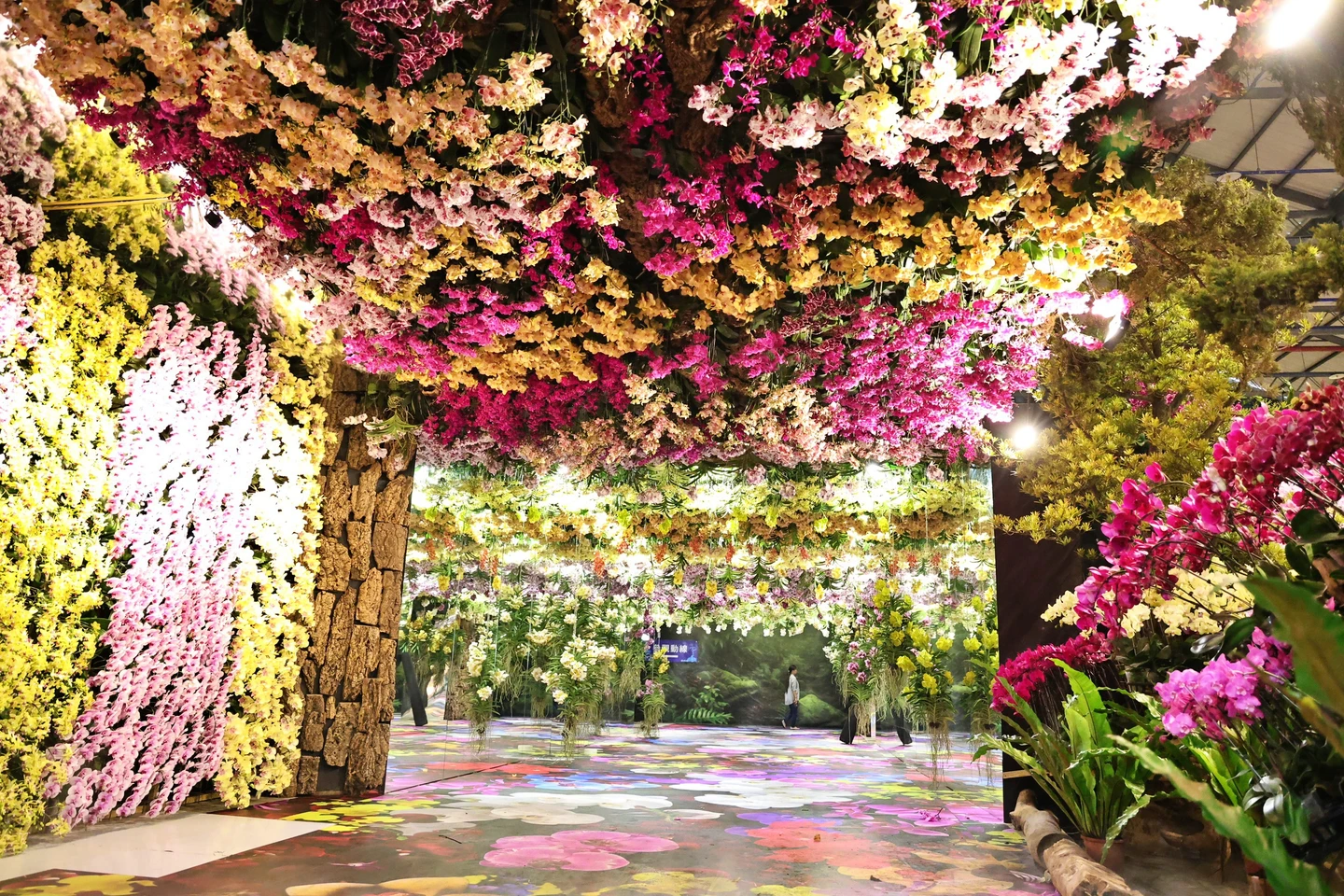 梵谷名畫躍上蘭花瓣！台灣國際蘭展27日登場　亮點一次看