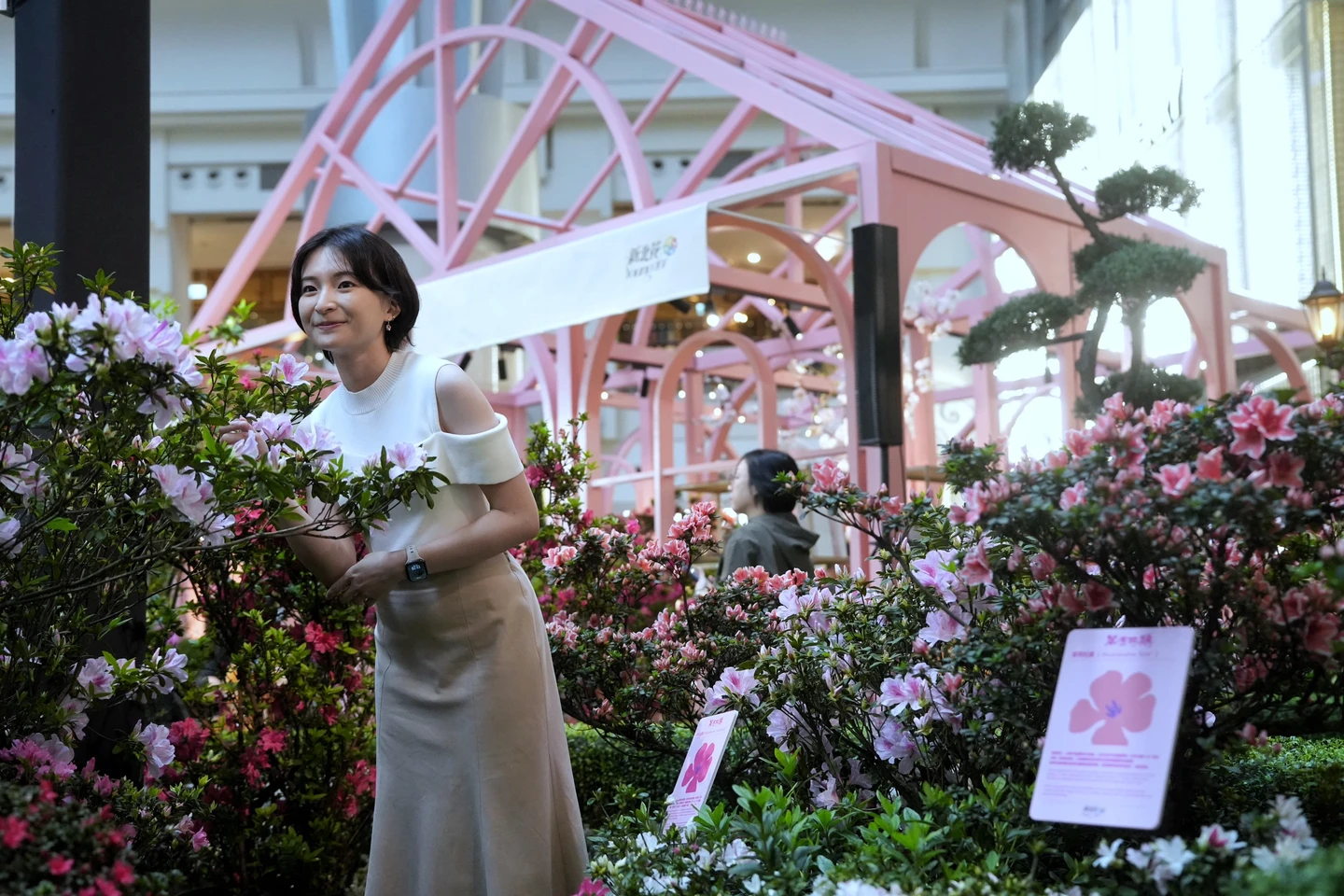 Alex攀登101助攻！春節觀景台遊客數創新高　全新打造杜鵑美術館吸客