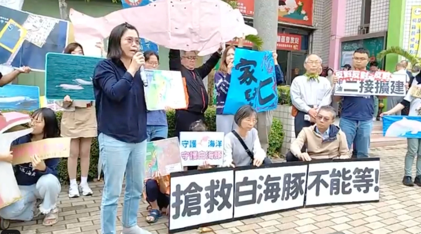中油台中廠港外擴建威脅白海豚棲地　學者曝「剩不到50隻」：未來恐滅絕