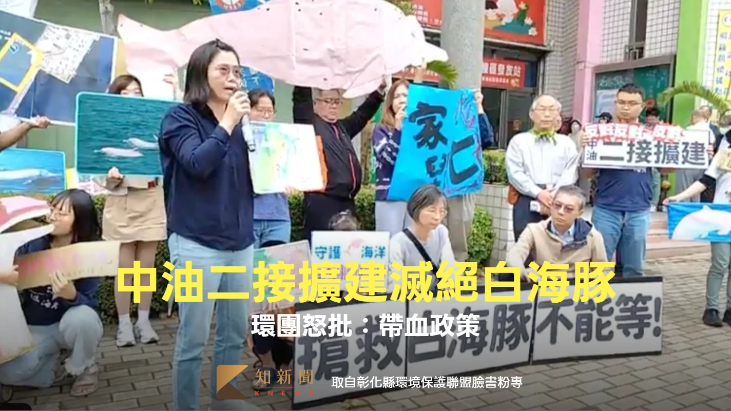 中油二接台中擴建將滅絕白海豚　保育團體集結怒批：帶血的政策
