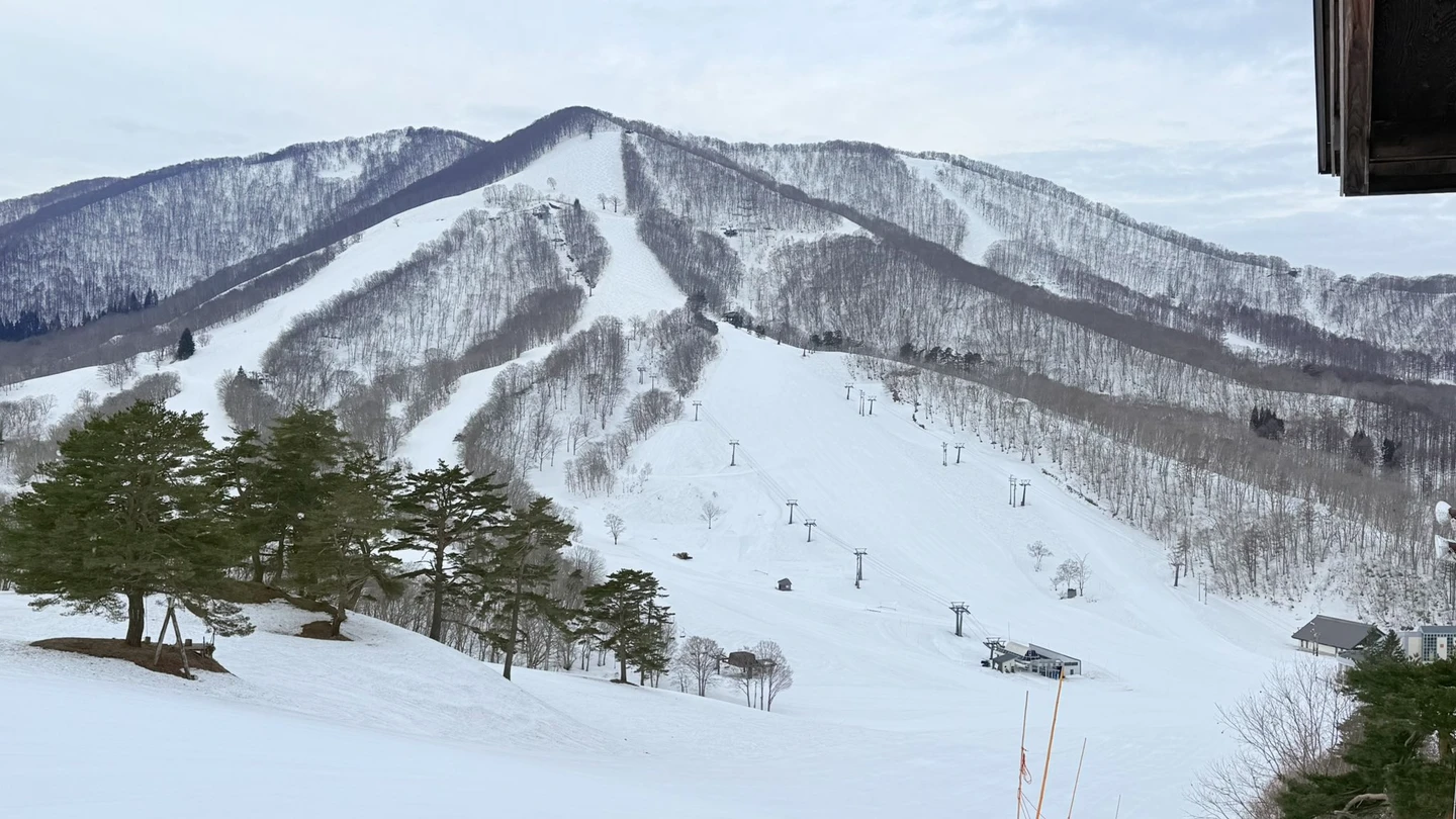 日本斑尾高原雪場雪崩5人受困獲救　2台灣遊客受傷送醫