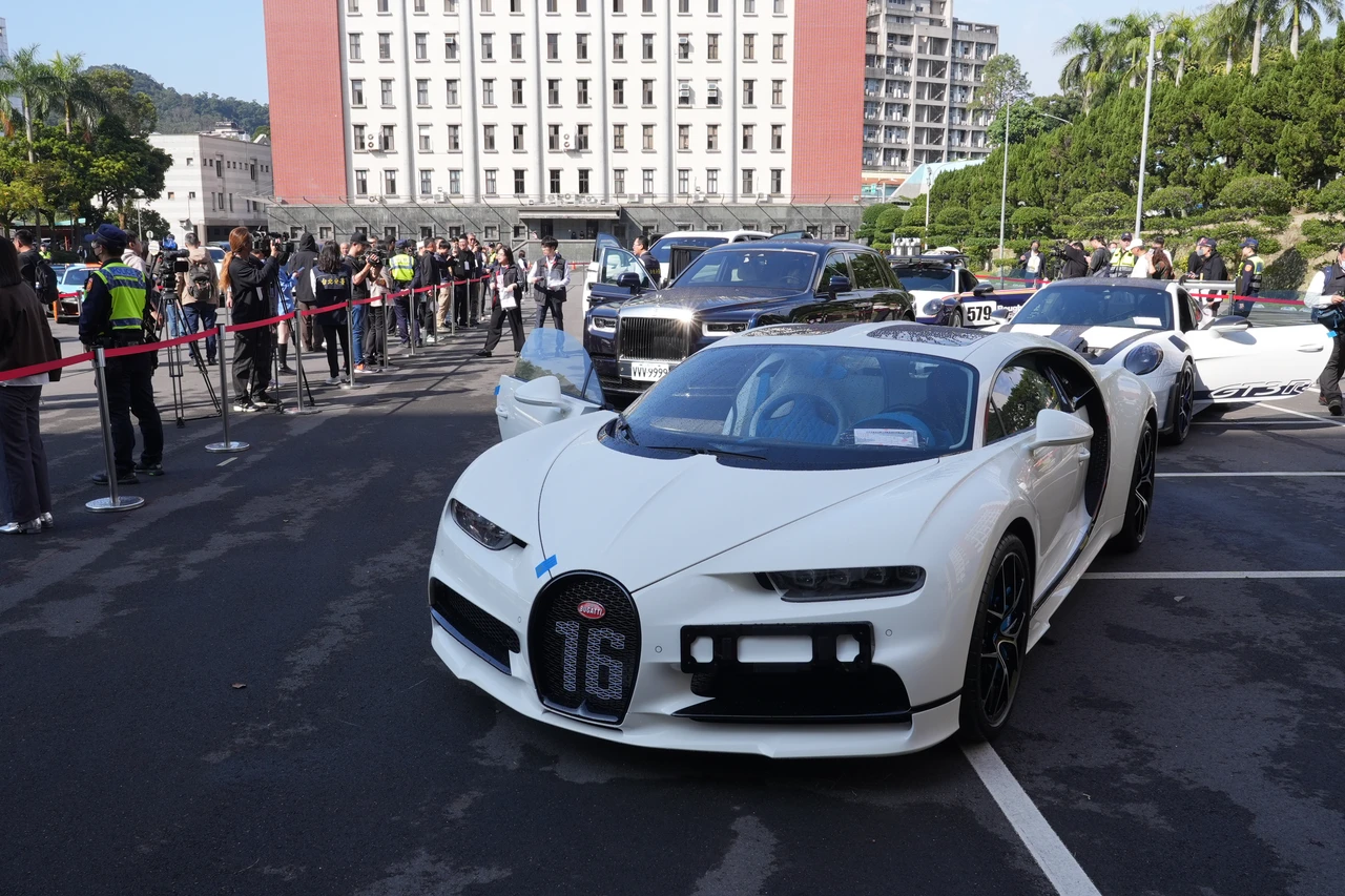 太子集團四大神獸「蛙王」5600萬拍出！　山豬王9500萬起標結果曝