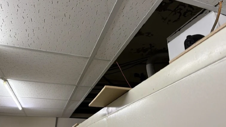 「安鼠之亂」未歇！台大全家超商天花板有洞　限期3/9前改善