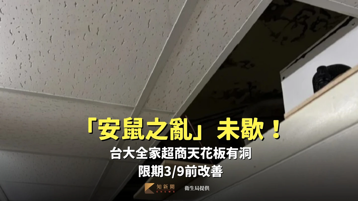 「安鼠之亂」未歇！台大全家超商天花板有洞　限期3/9前改善