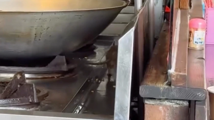 慎入片｜買便當驚見超肥「料理鼠王」！他嚇到直接走人　食安處要查了