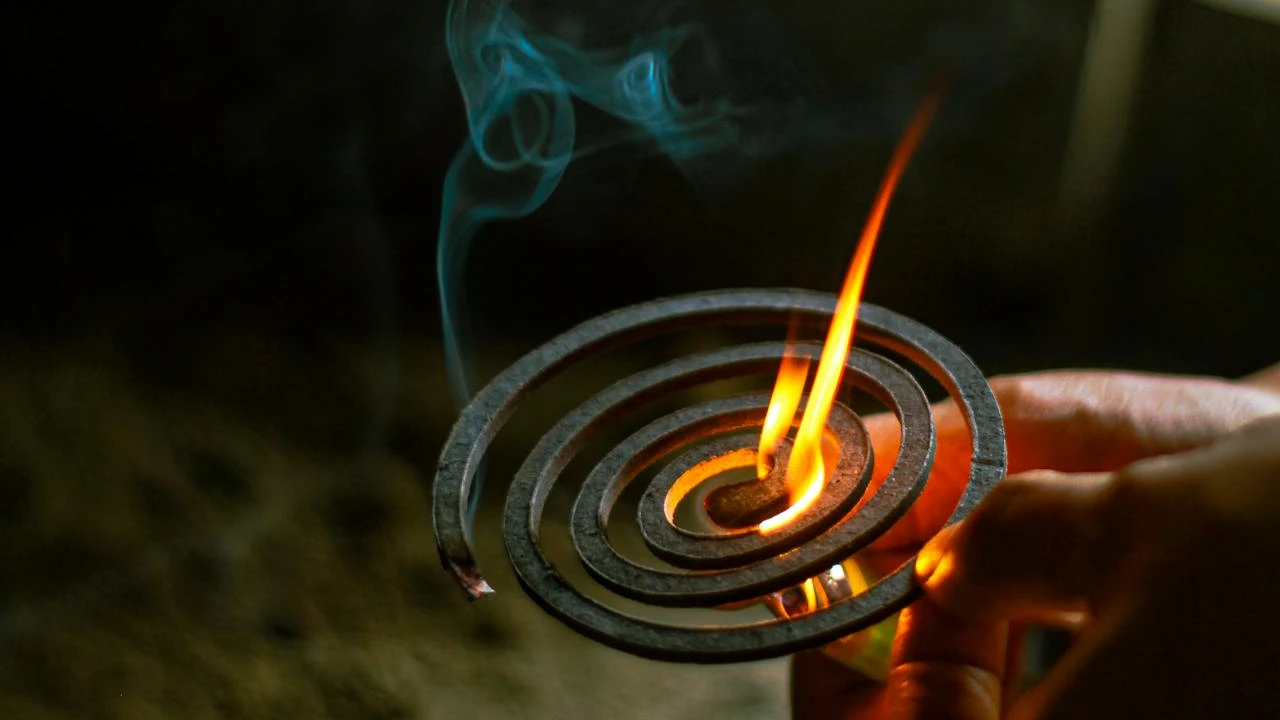 初夏的味道!蚊香驅蚊蟲2關鍵 彭啟明:不是給人聞的啦