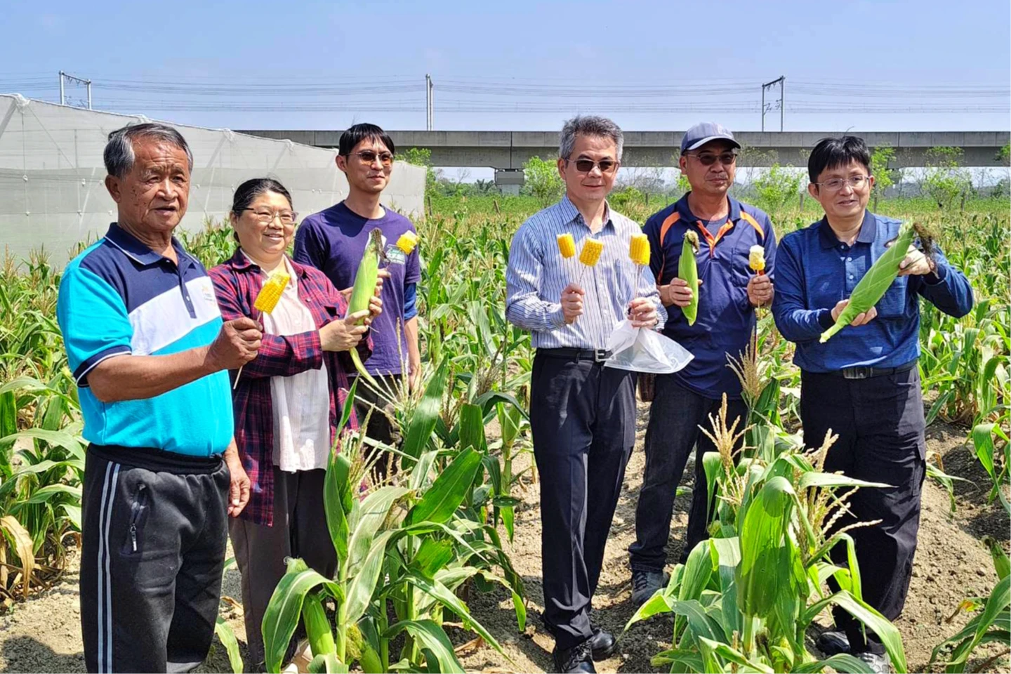 見習8年！台大碩士投身台南有機專區　老中青三代共築永續糧倉
