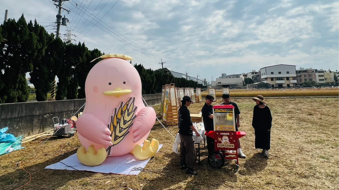 百公頃黃金麥浪來了！台中大雅「麥穗蹦馬戲」登場　打卡秘境一次看