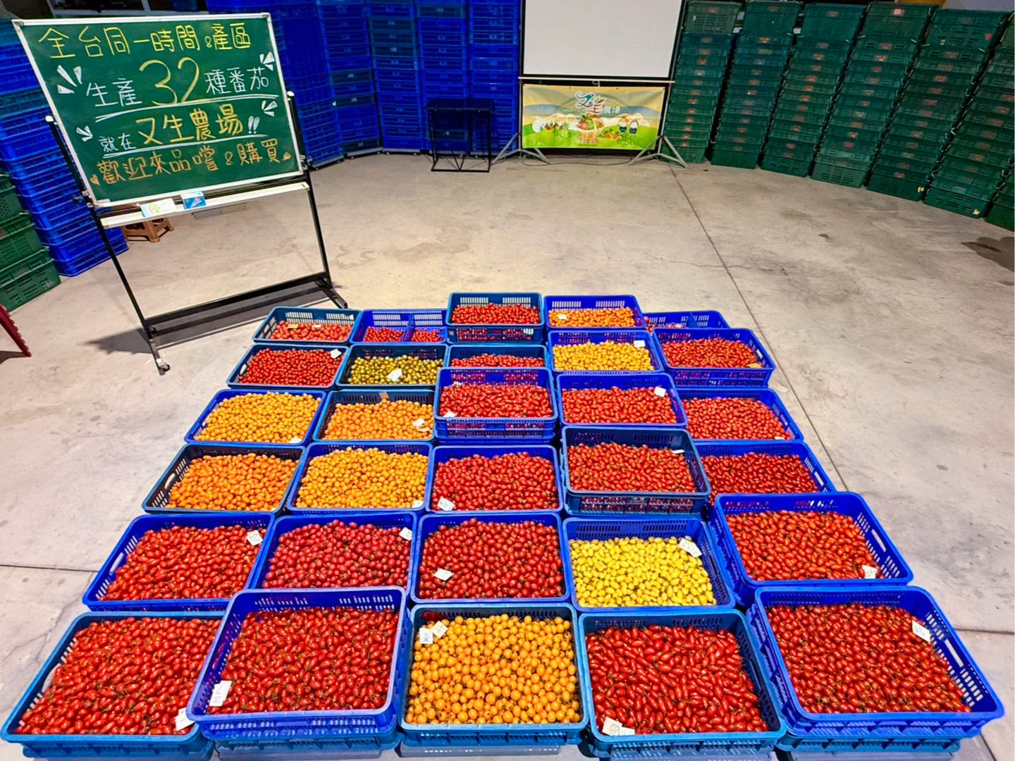 一顆番茄的三年風味革命！美濃又生農場「32種番茄開箱日」14日登場
