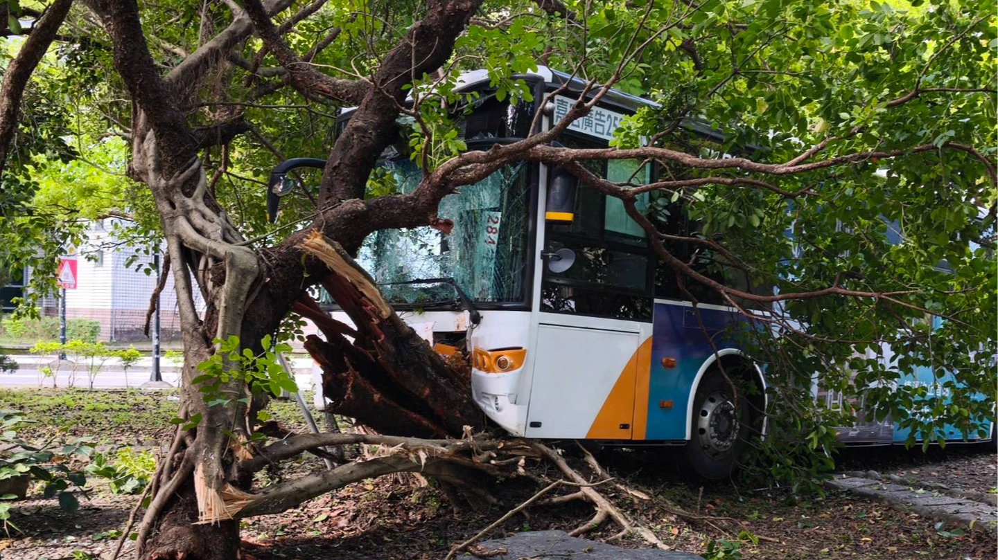 內湖三總公車轉彎撞路樹！10人受傷　驚悚畫面曝光