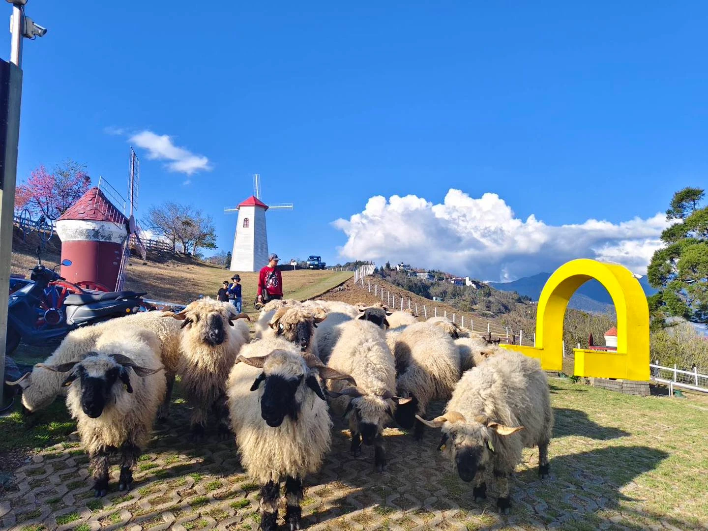 「最高門市」繼星巴克後！又一名店退場　清境農場這樣說