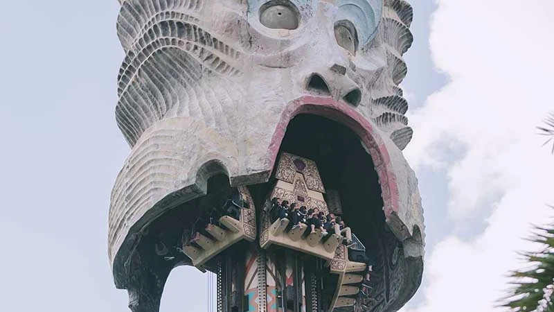 女搭「大怒神」亡　醫師揭對大腦影響！出現4症狀快急診