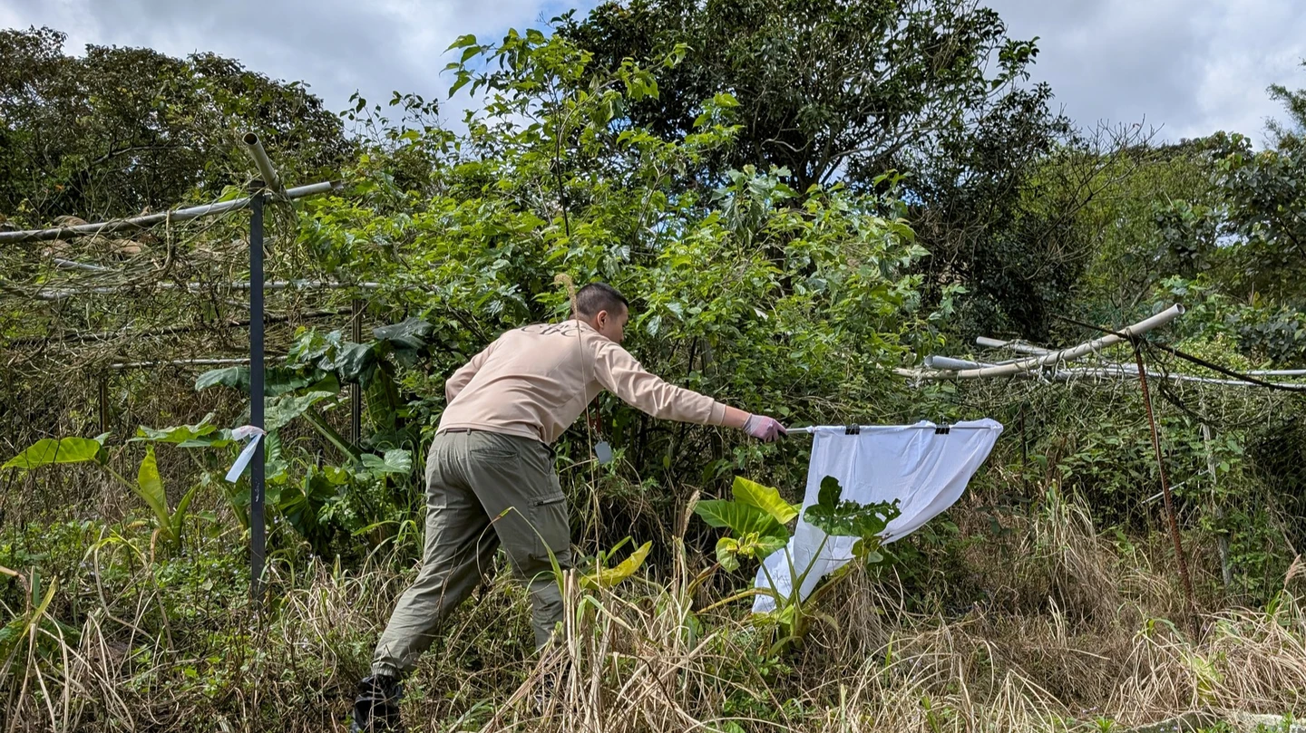 三年來首例！老翁染高致死率傳染病　家門外捕16蜱蟲