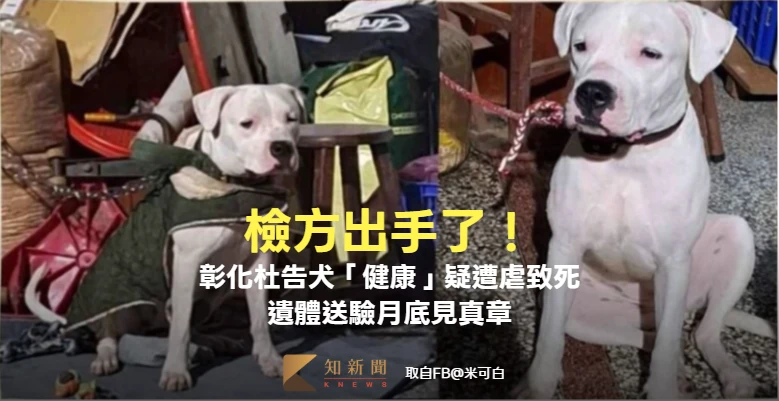 檢方出手了！彰化杜告犬「健康」疑遭虐致死　遺體送驗月底見真章