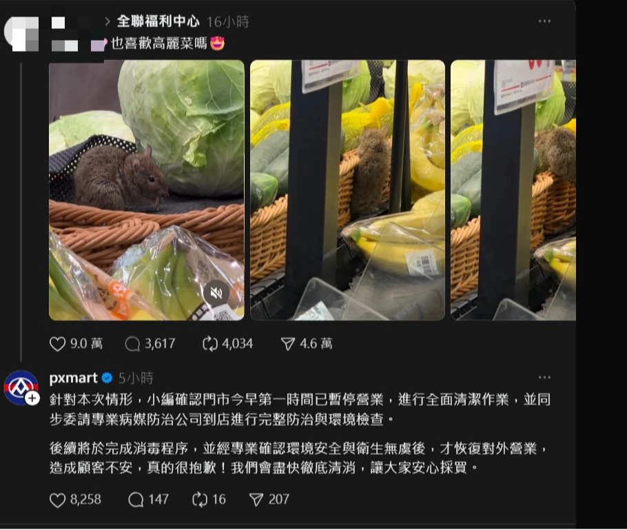 全聯驚見老鼠狂啃高麗菜！民眾PO網業者急道歉　衛生局稽查揪缺失