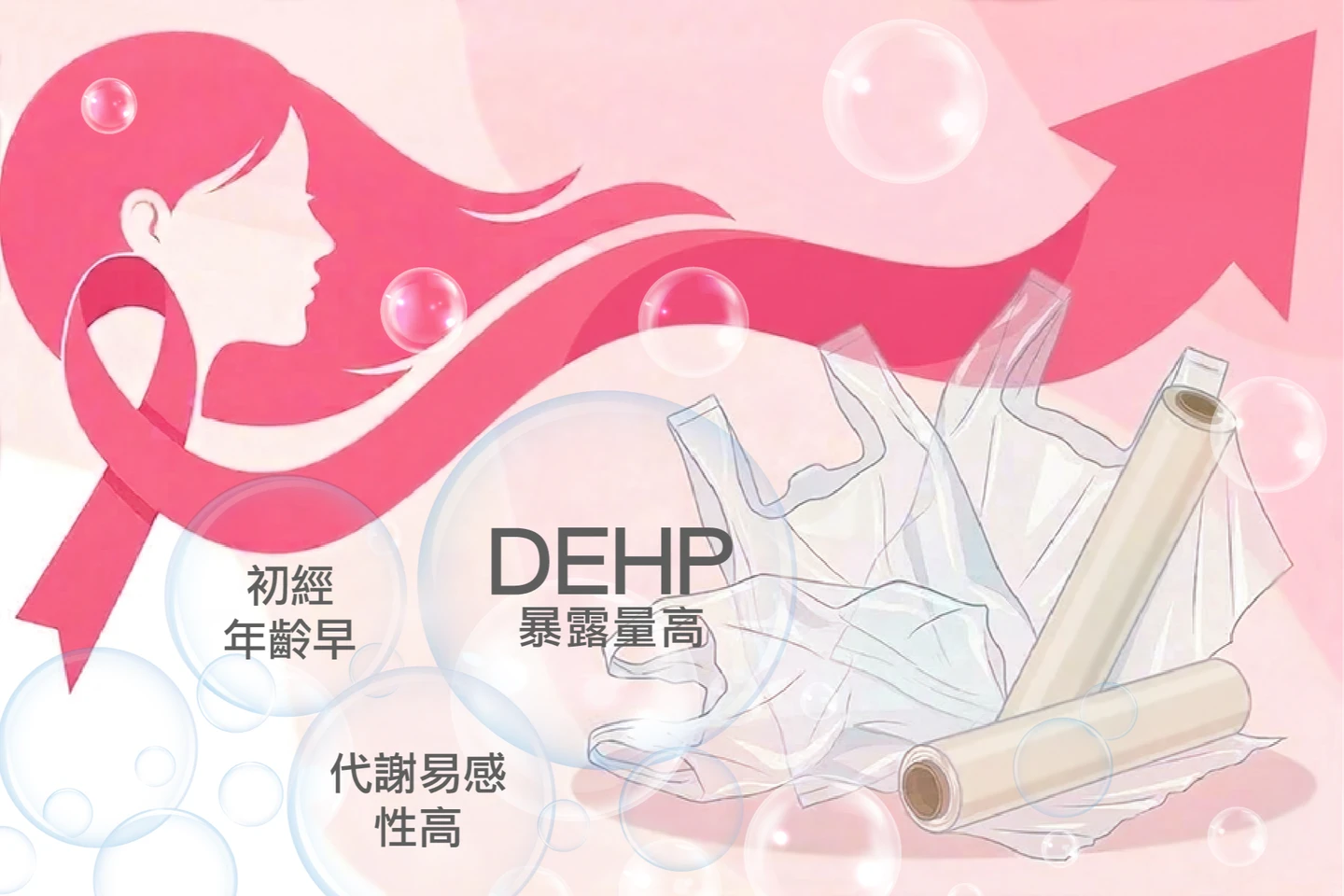 陳建仁領軍歷時20年追蹤研究　塑化劑、初經早讓乳癌風險增7倍