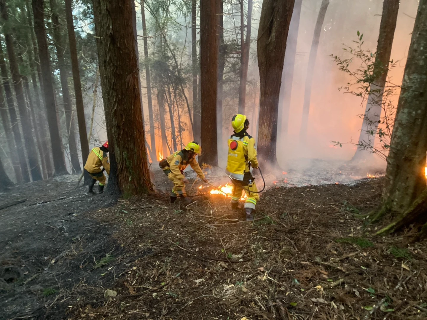「春雨偏少」全台林火風險升溫！台中市等6縣市列「危險等級」　檢舉獎金最高10萬