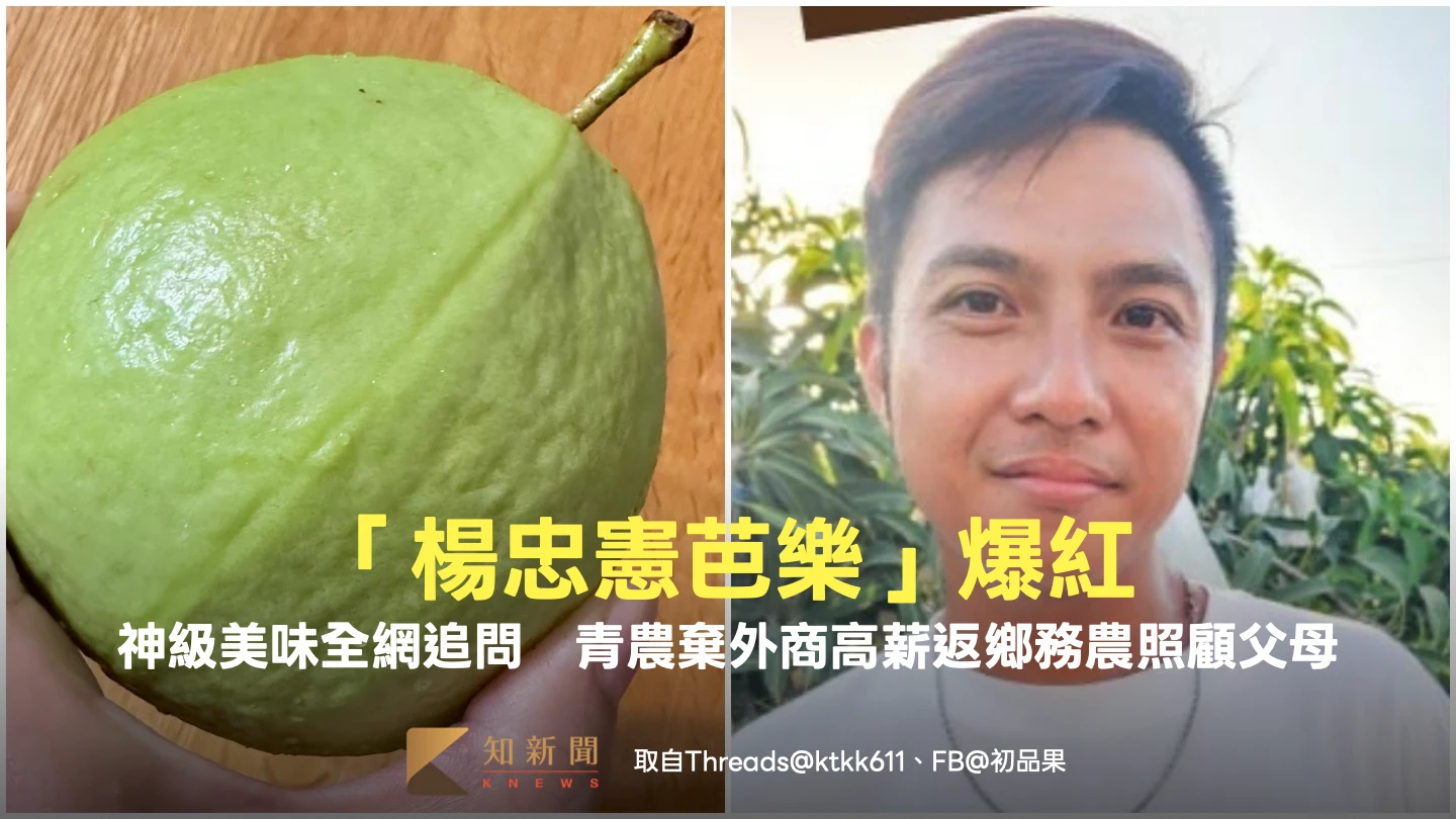 「楊忠憲芭樂」爆紅！神級美味全網追問　青農棄外商高薪返鄉務農照顧父母