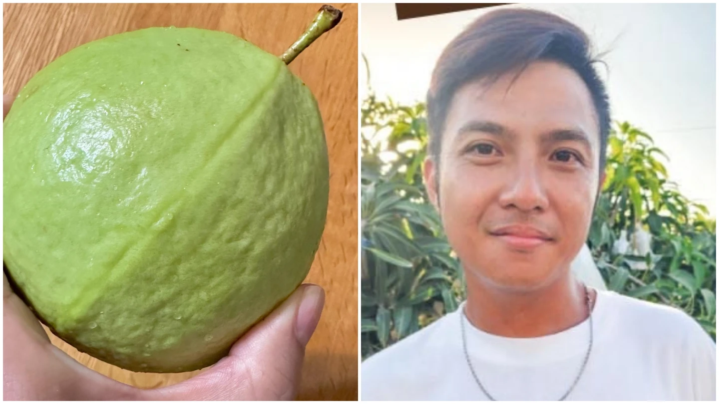 「楊忠憲芭樂」爆紅遭詐團盯上！手法曝光　本尊急反詐：無網路販售