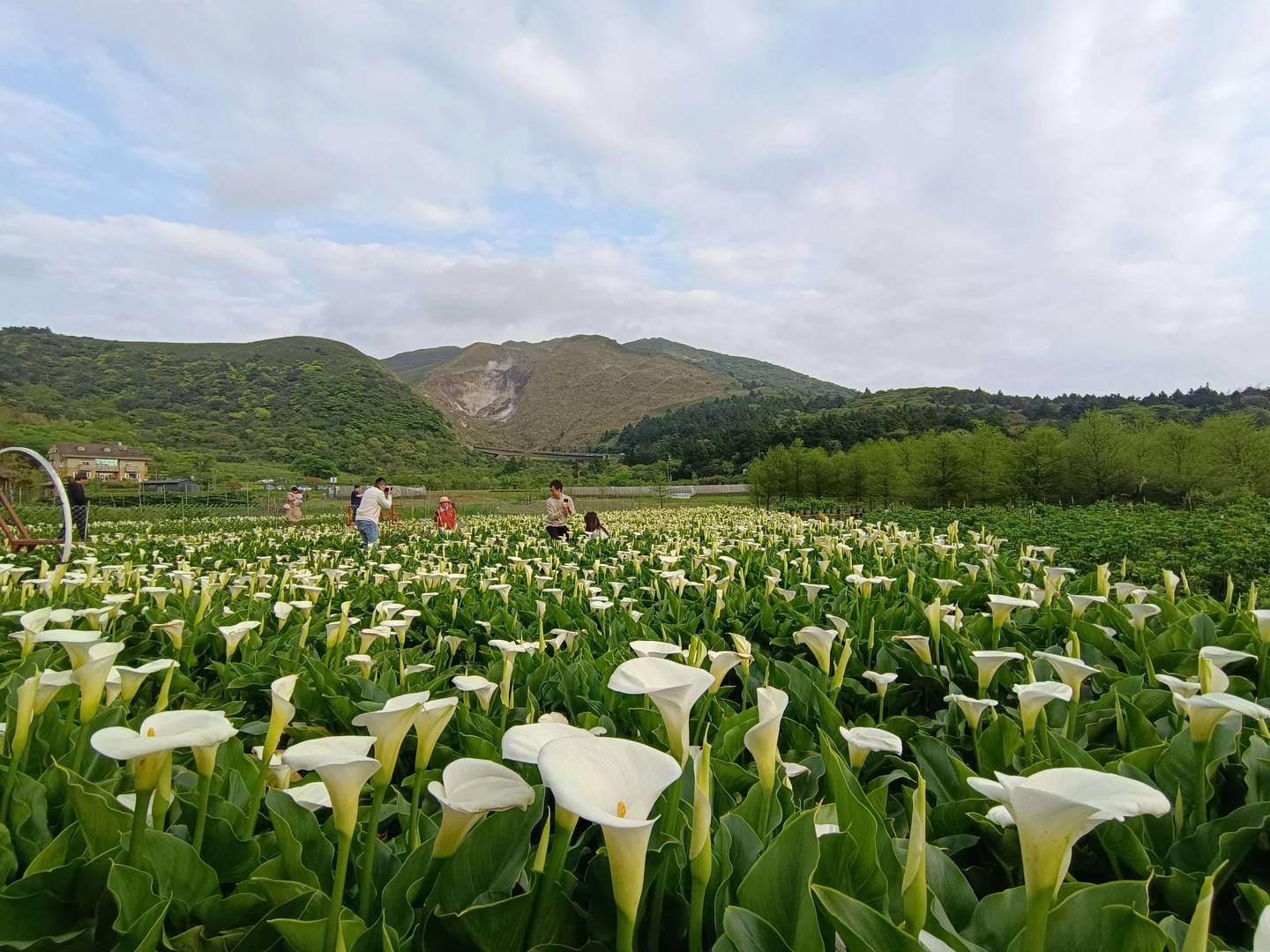 清明連假訂房率！花季、動漫展助攻台北市奪冠　兒童節雲林縣第一