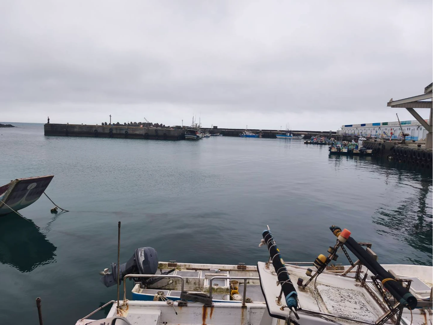 三芝漁港驚傳汽車衝入海！警消急搜救　1男獲救送醫