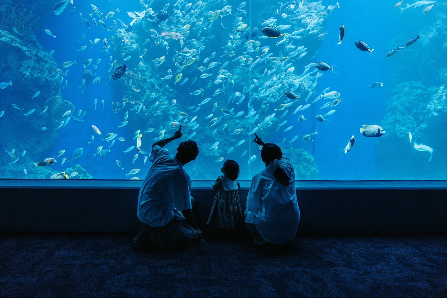 兒童節連假限定！捐書免費遊台中海洋館　條件曝光快手刀預約