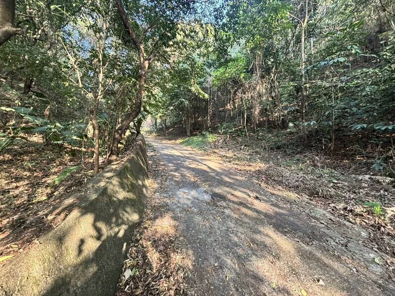 百果山男屍遭毀容今相驗　虐殺疑似原因曝！2主嫌收押禁見