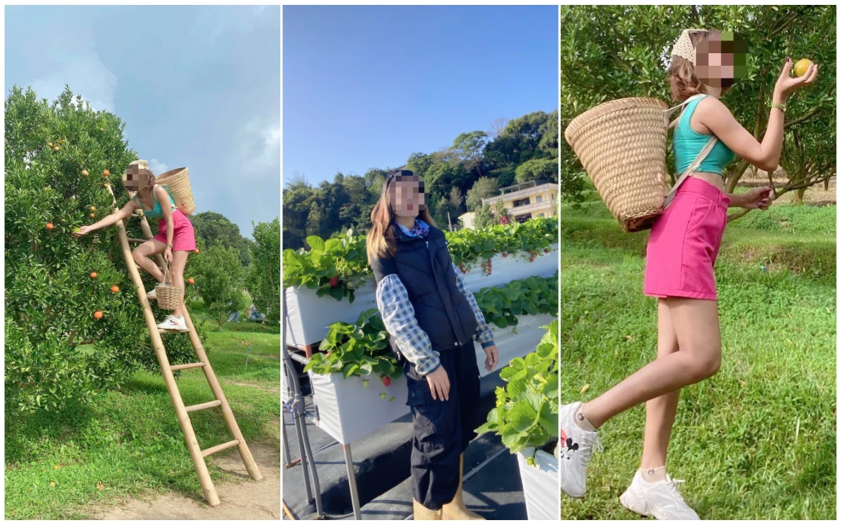 血汗草莓園！泰女被騙來台每日上工逾16hr　黑心仲介削百人3500萬