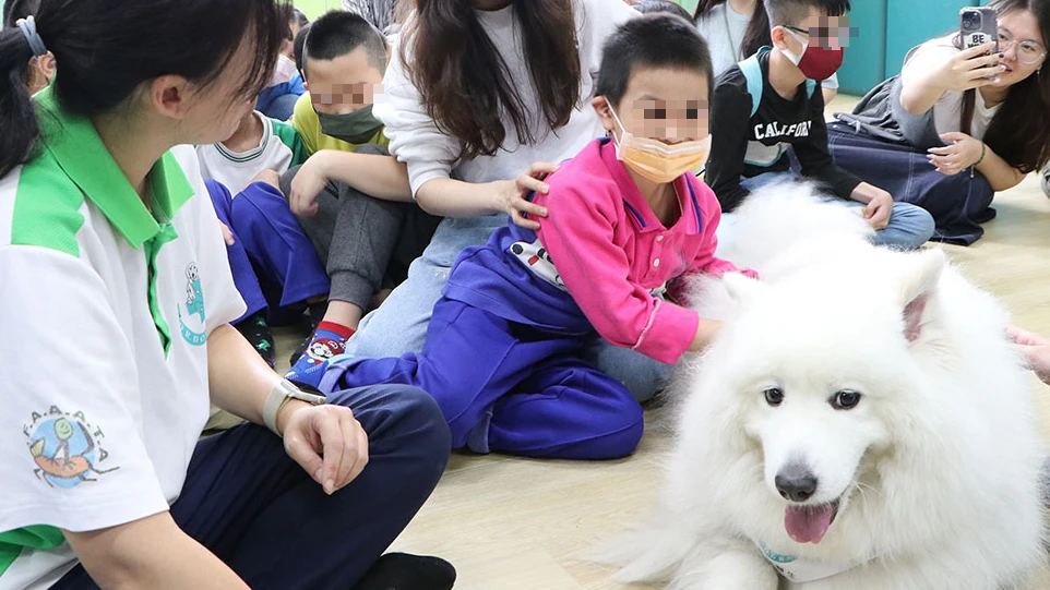 最萌兒童節禮物！新北市圖「狗醫生」前進校園　療癒陪讀暖心登場