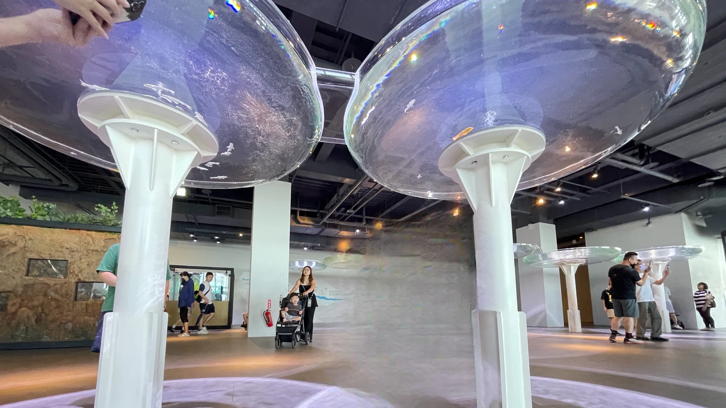 台中海洋館驚見「魚兒墜樓」！挨轟：魚缸死亡設計　館方揭真相急喊話遊客