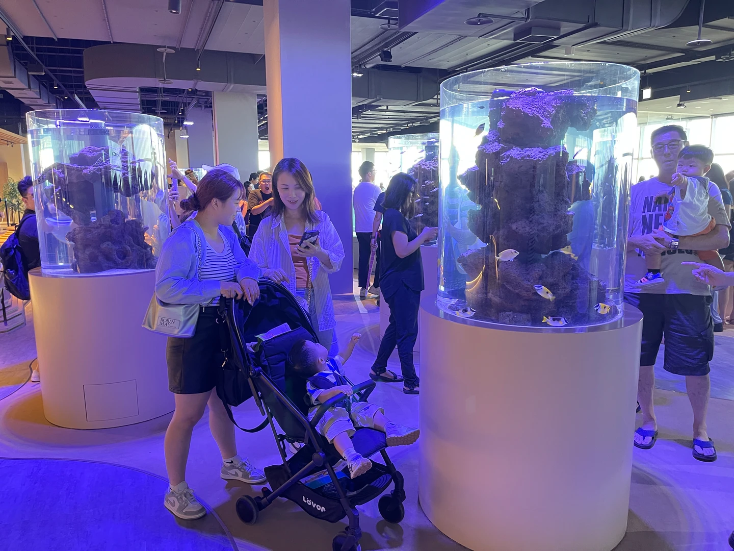 兒童節連假4天快衝！　1條件「6-12歲」免費遊台中海洋館　