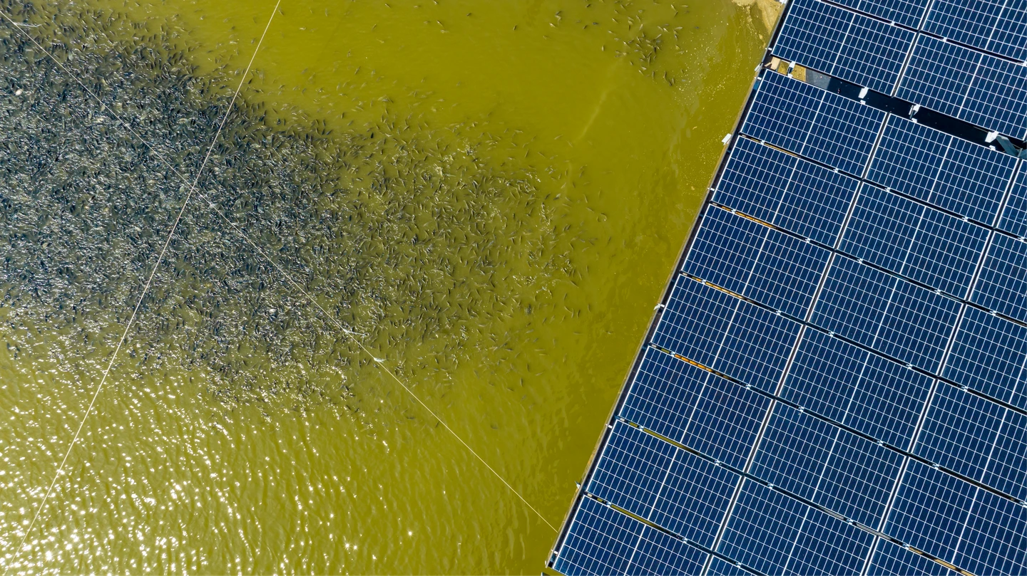 台泥綠能回應「假養殖真種電」爭議　攜島內散步推漁電共生