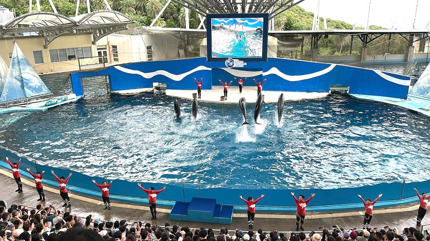 10年海豚秀暫落幕！遠雄海洋公園「跳浪奇緣」成回憶　下一步曝光「夏天見」