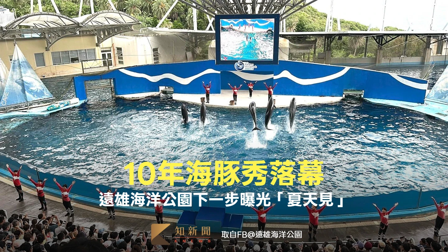 10年海豚秀暫落幕！遠雄海洋公園「跳浪奇緣」成回憶　下一步曝光「夏天見」