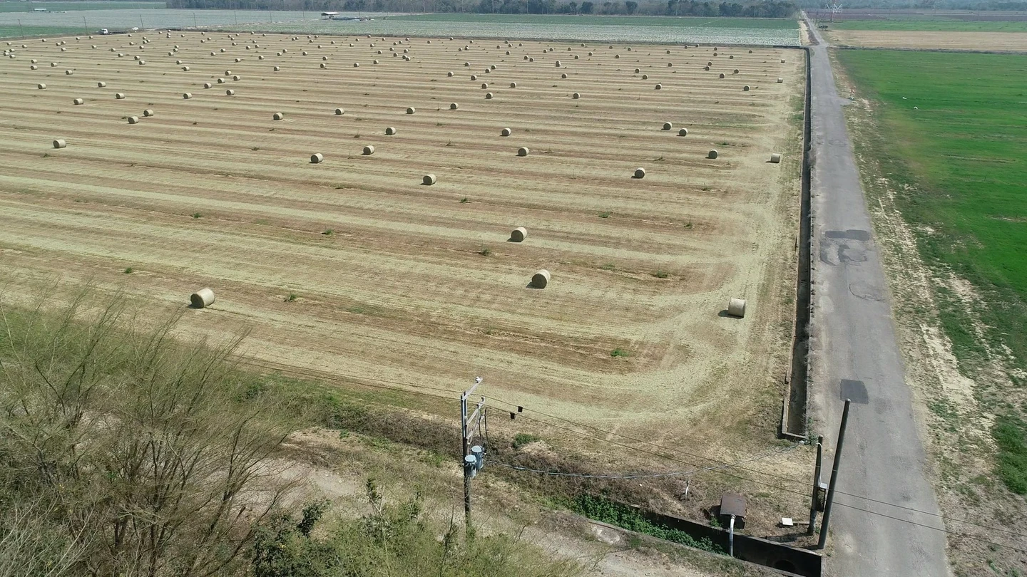 沙崙農場開發急喊卡！南市府撤回國土調整案　環團質疑假動作