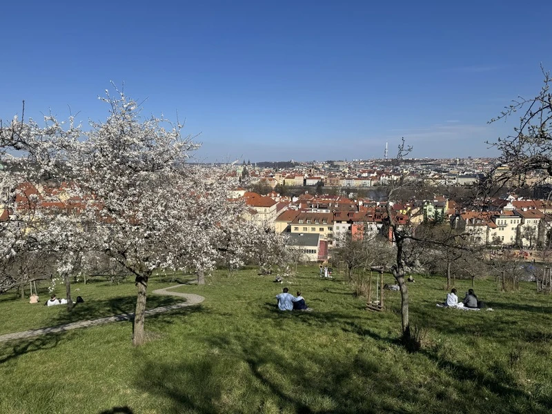 遊歐注意！捷克首季萊姆病爆逾1300例　專家揭關鍵預防法