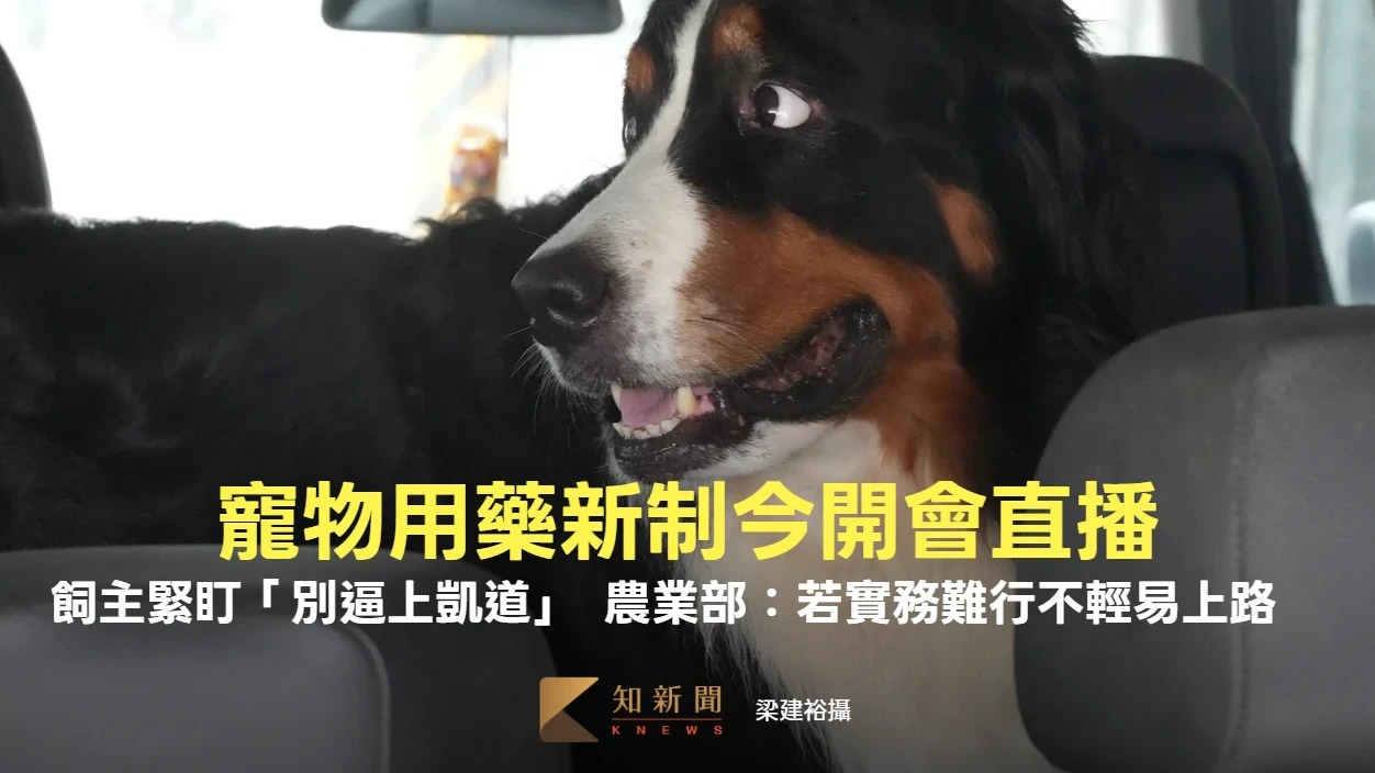 寵物用藥新制今開會直播　飼主緊盯「別逼上凱道」！農業部：不輕易上路　