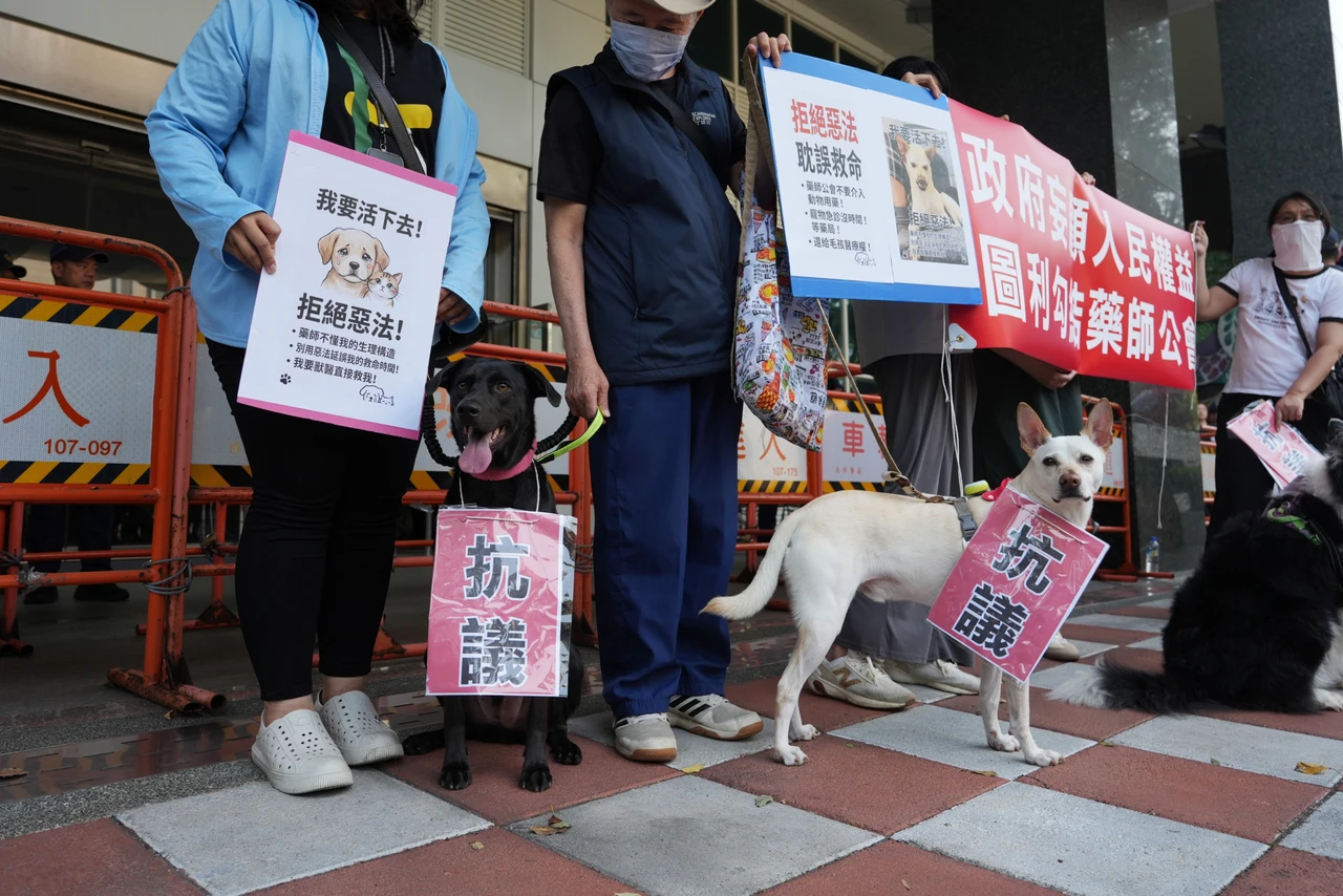 寵物用藥新制延緩上路！農業部鬆綁　雙軌制供藥讓毛孩安心