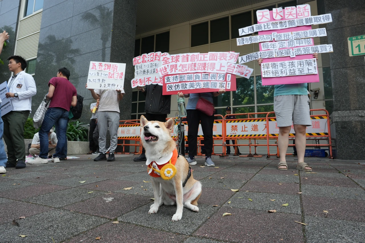 動物用人藥新制缺配套！獸醫怒還未上路　購藥限制已湧現