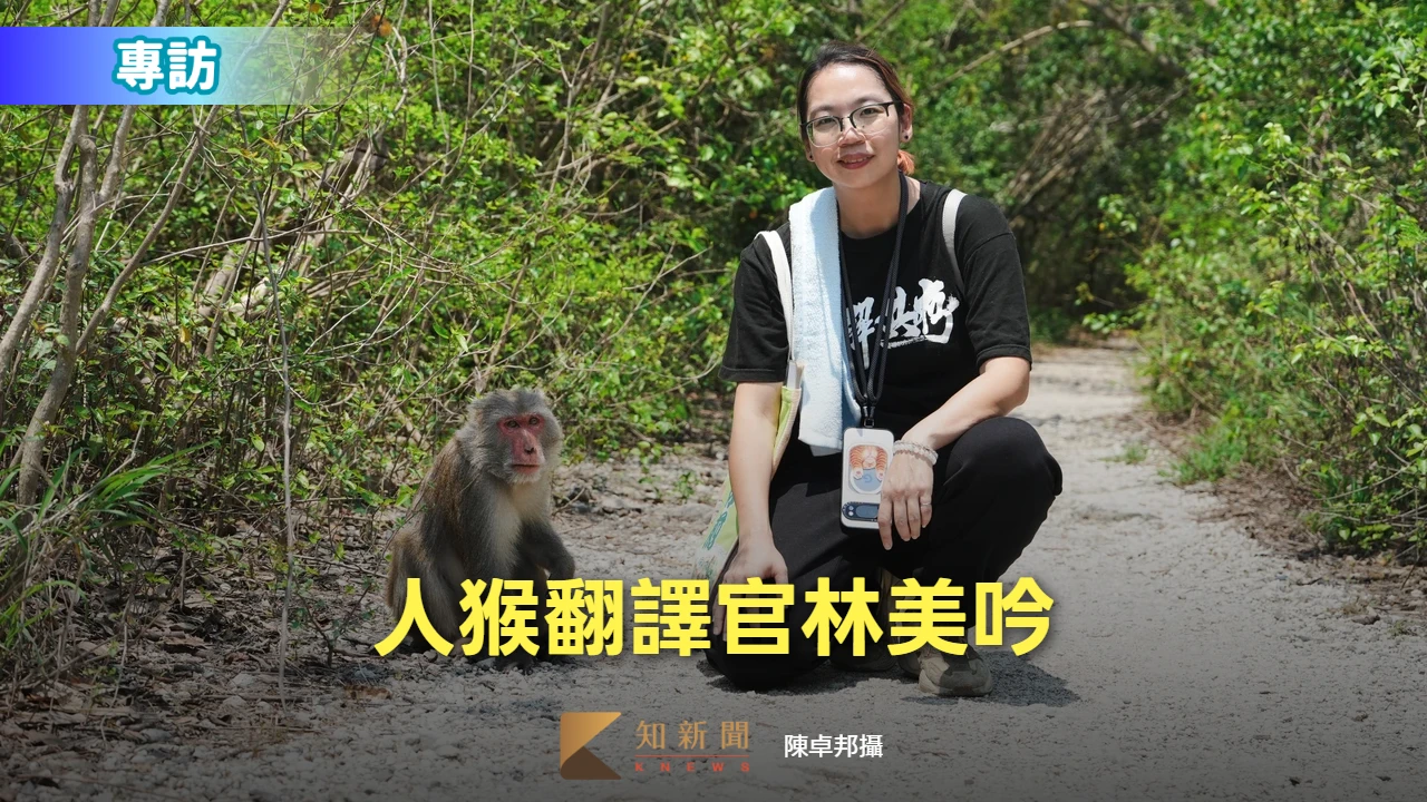 專訪｜獼猴棲地完婚！隔月猴群遭毒殺淚辦喪禮　人猴翻譯官林美吟教共存